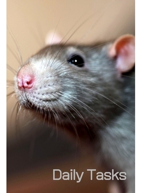 预订 Daily Tasks (6x9inch): Cute Rat Book; Daily Checklist for Organisation; Cute Book for Rat Lovers; 6x9inch: 97816971