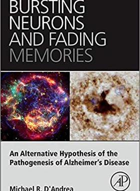 【预售】Bursting Neurons and Fading Memories