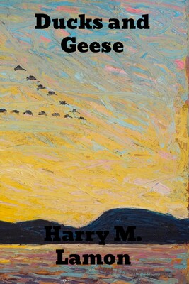 【预订】Ducks and Geese - 封面