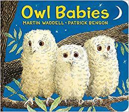 【预售】Owl Babies