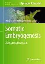 【预订】Somatic Embryogenesis 9781071624845
