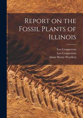 [预订]Report on the Fossil Plants of Illinois 9781014758415