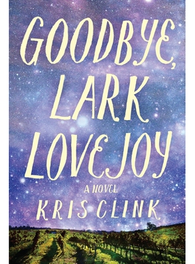 预订 Goodbye, Lark Lovejoy: A Novel 再见，百灵鸟: 9781684630738