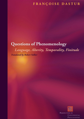 预订 Questioning Phenomenology
