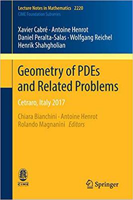 【预售】Geometry of PDEs and Related Problems
