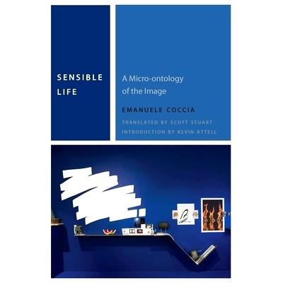 a micro-ontology of the image /