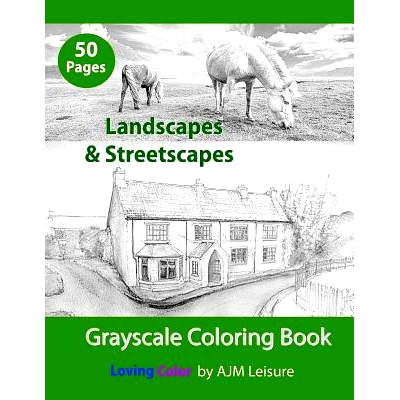 预订 Landscapes & Streetscapes: Adult Grayscale Coloring Book: 9781731335579