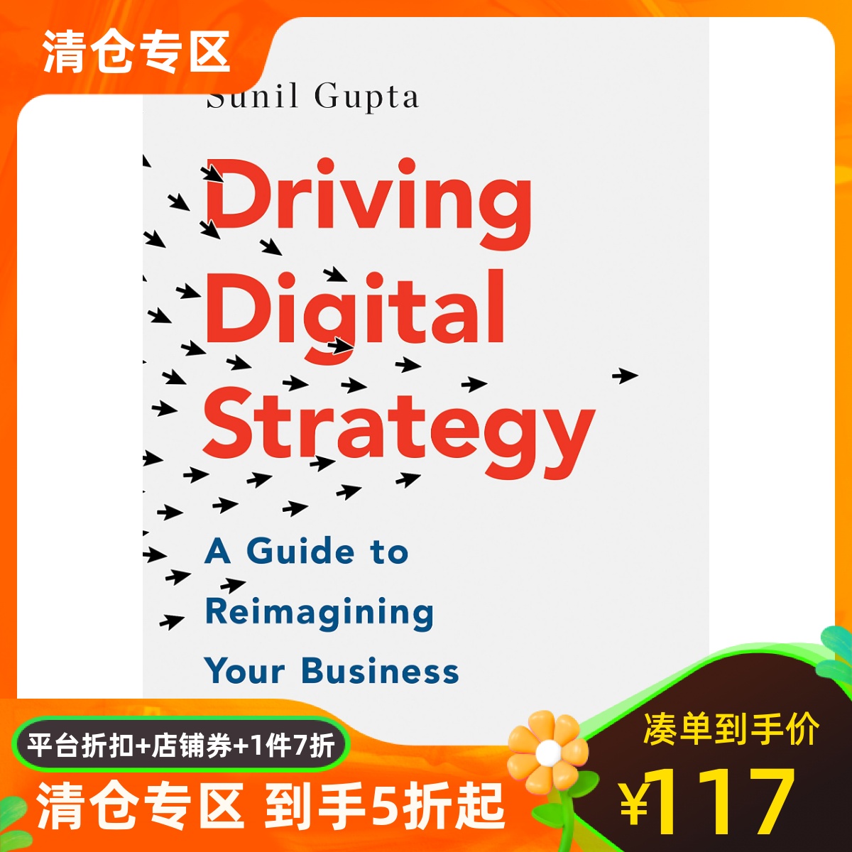 英文原版 推动数字战略：重塑企业形象的指南 Driving Digital Strategy: A Guide to Reimagining Your Business