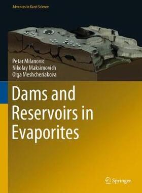 【预订】Dams and Reservoirs in Evaporites