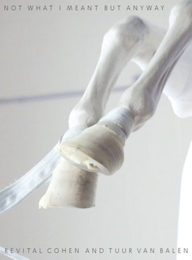 预订 Not What I Meant But Anyway 我不是这个意思、但是不管怎样: 9781941332719