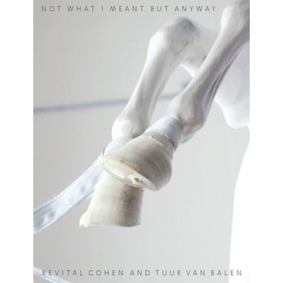 预订 Not What I Meant But Anyway 我不是这个意思、但是不管怎样: 9781941332719