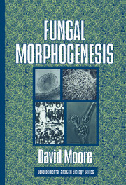 【预订】Fungal Morphogenesis