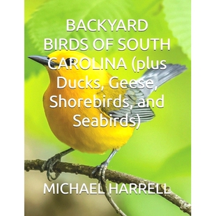 南卡罗来纳州 Birds Carolina South 预订 Ducks Seabirds 后院鸟类 and Shorebirds Geese 鹅 以及鸭子 plus Backyard