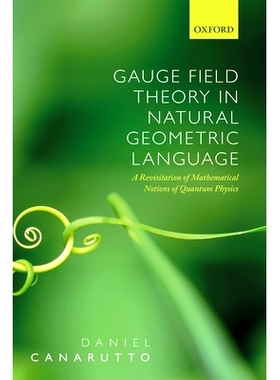 Gauge Field Theory in Natural Geometric Language: A revisitation of mathematical notions of quantum physics 自然几何语
