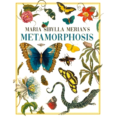 预订 Maria Sibylla Merian’s Metamorphosis: One Woman’s Discovery of the Transformation of Butterflies and Insects: 978