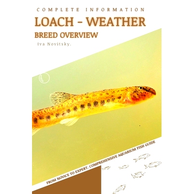 预订 Loach - Weather: From Novice to Expert. Comprehensive Aquarium Fish Guide: 9798398787528