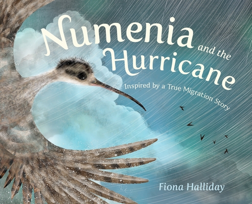 【预订】Numenia and the Hurricane: Inspired by a True Migration Story