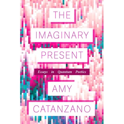 预订 The Imaginary Present: Essays in Quantum Poetics: 9780472039838