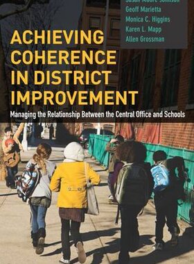 【预售】Achieving Coherence in District Improvement