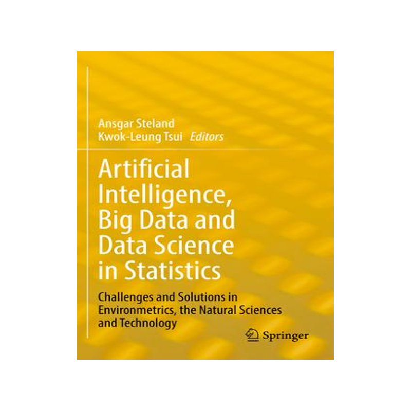 [预订]Artificial Intelligence, Big Data and Data Science in Statistics: Challenges and Solutions in Enviro 9783031071577