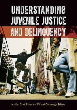 【预售】Understanding Juvenile Justice and Delinquency