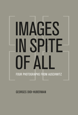 【预订】Images in Spite of All 9780226148175
