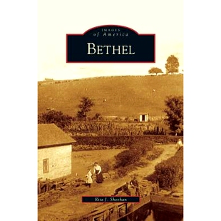 预订 Bethel: 9781531643201