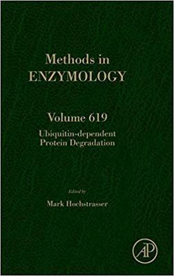 【预订】Ubiquitin-dependent Protein Degradation