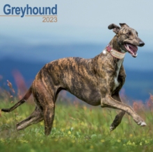 【预订】Greyhound 2023 Wall Calendar 9781839417177