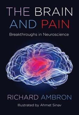 [预订]The Brain and Pain: Breakthroughs in Neuroscience 9780231204873