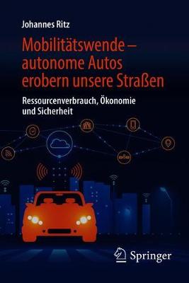 Ressourcenverbrauch, Ökonomie und Sicher