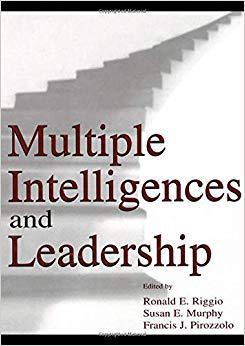 【预售】Multiple Intelligences and Leadership