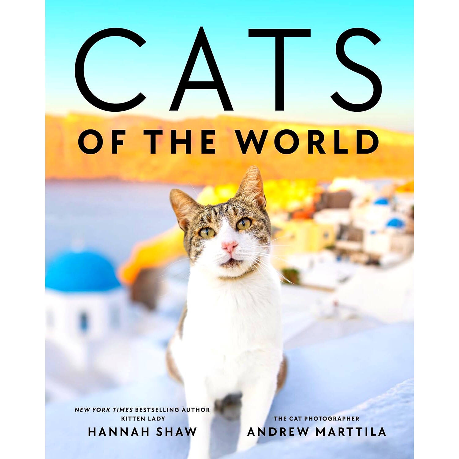 现货 Cats of the World 世界各地的猫 摄影画册 英文原版 Hannah Shaw & Andrew Marttila