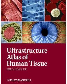 【预订】Ultrastructure Atlas Of Human Tissues 9781118284537