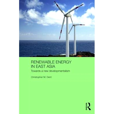 Towards a New Developmentalism