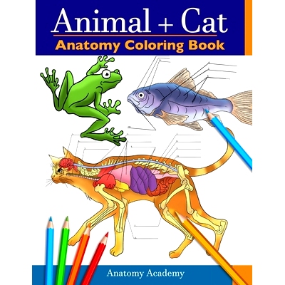 预订 Animal & Cat Anatomy Coloring Book: 2-in-1 Compilation Incredibly Detailed Self-Test Veterinary & Feline Anatomy Co