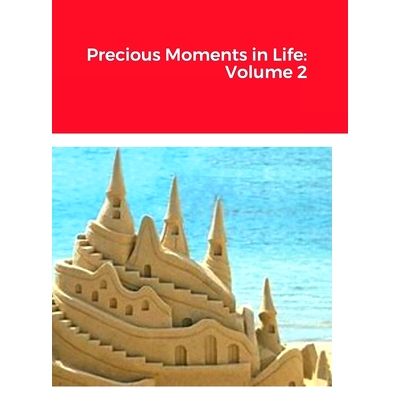 预订 Precious Moments in Life: Volume 2: 9781458305602