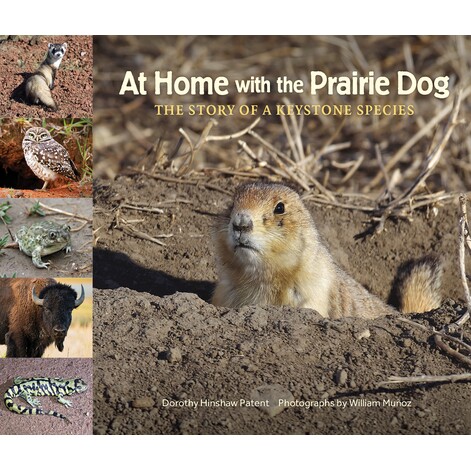 预订 At Home with the Prairie Dog: The Story of a Keystone Species 与草原犬鼠共处: 9781970039061