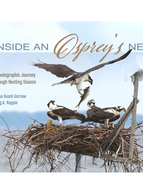 预订 Inside an Osprey’s Nest: A Photographic Journey Through Nesting Season: 9780764352003