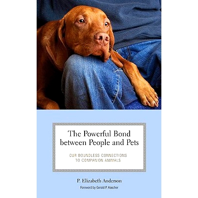 Our Boundless Connections to Companion A