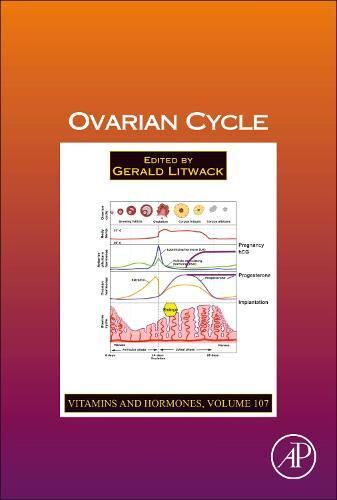 【预售】ovarian cycle