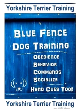 预订 Yorkshire Terrier Training By Blue Fence DOG Training, Obedience - Behavior - Commands - Socialize - Hand Cues Too.
