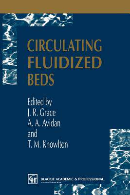【预订】Circulating Fluidized Beds