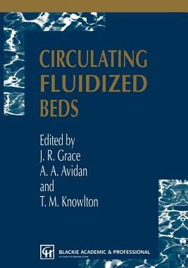 【预订】Circulating Fluidized Beds