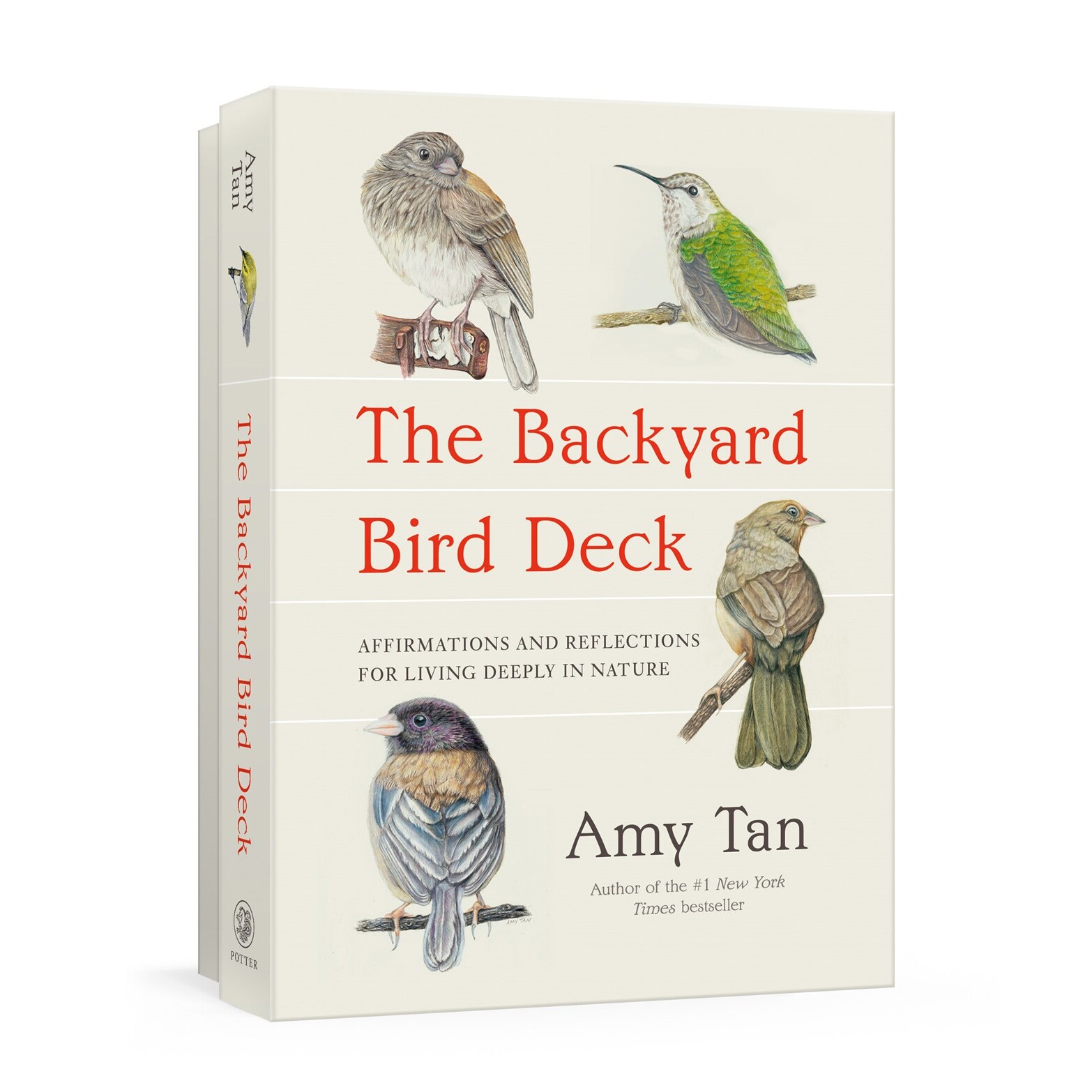 现货 后院观鸟 插画书摘卡片 谭恩美 Amy Tan 融入自然深处的肯定与反思 礼品书 喜福会作者 英文原版 The Backyard Bird Deck