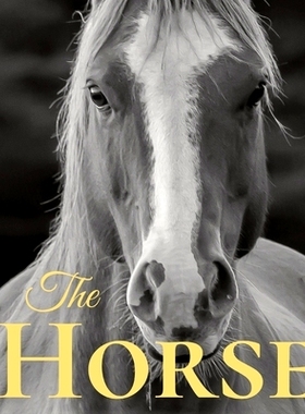 预订 The Horse: Coffee Table Book With Quotations About The Magnificent Equines.