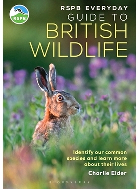 预订 Rspb Everyday Guide to British Wildlife: Identify Our Common Species and Learn More about Their Lives Rspb 英国野生