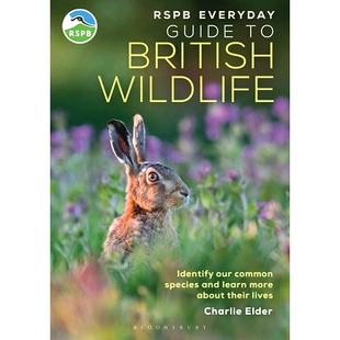 预订 Our More Common Species Wildlife 英国野生 Their Lives Guide British Identify Learn and about Everyday Rspb