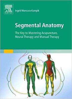 【预售】Segmental Anatomy