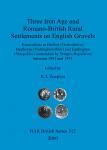 [预订]Three Iron Age and Romano-British Rural Settlements on English Gravels 9781841712031